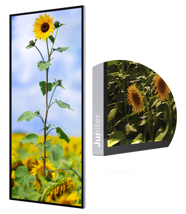 pana81t безрамочный дисплей pana81t безрамочный дисплей